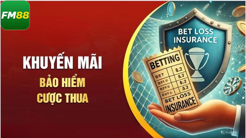 Khám phá đôi chút về bảo hiểm cược FM88